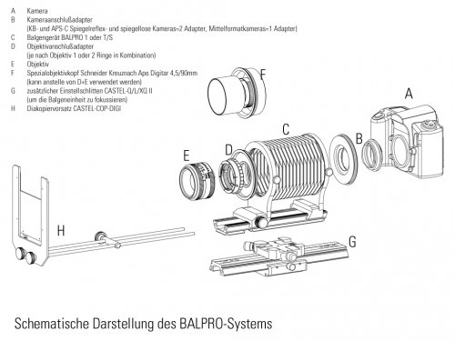 BALPRO 1 NOVOFLEX Novoflex  Makrofotografie Novoflex  Balgen  (sagafoto Foto Studiotechnik und Studioausstattung)